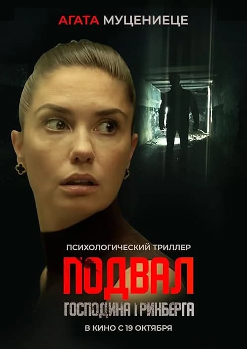 Mr. Greenberg's Basement film posteri