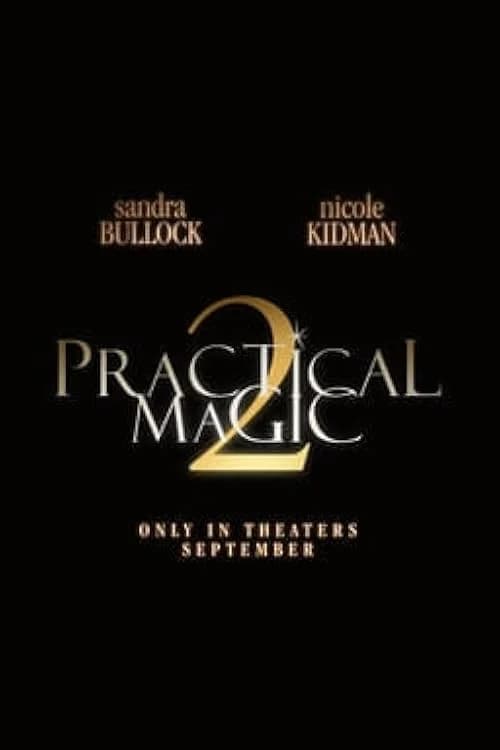 Practical Magic 2 film posteri