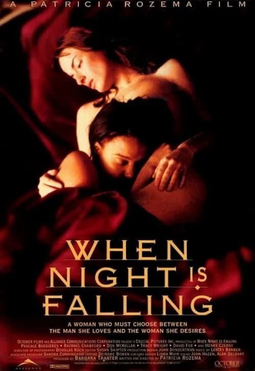 When Night Is Falling film posteri